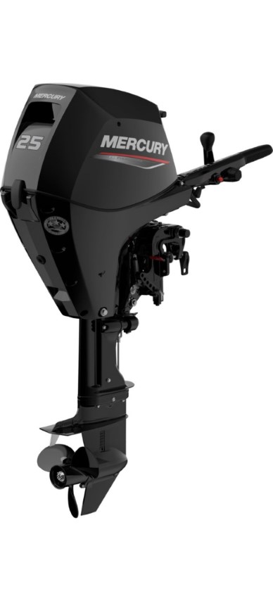 Mercury F 25 EFI