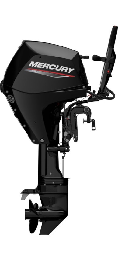 Mercury F 25 EFI