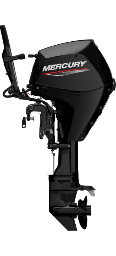 Mercury F 25 EFI