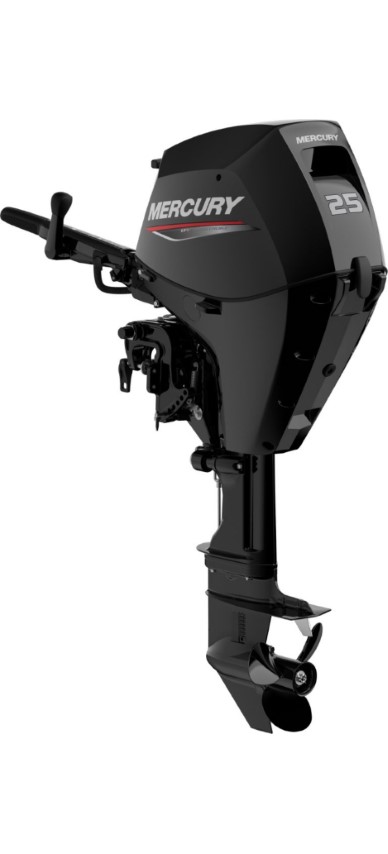 Mercury F 25 EFI