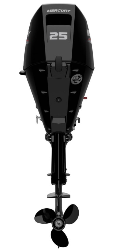 Mercury F 25 EFI