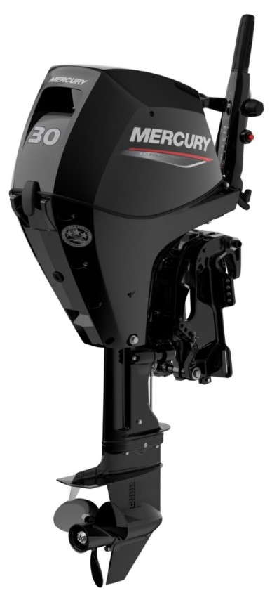 Mercury F 30 EFI