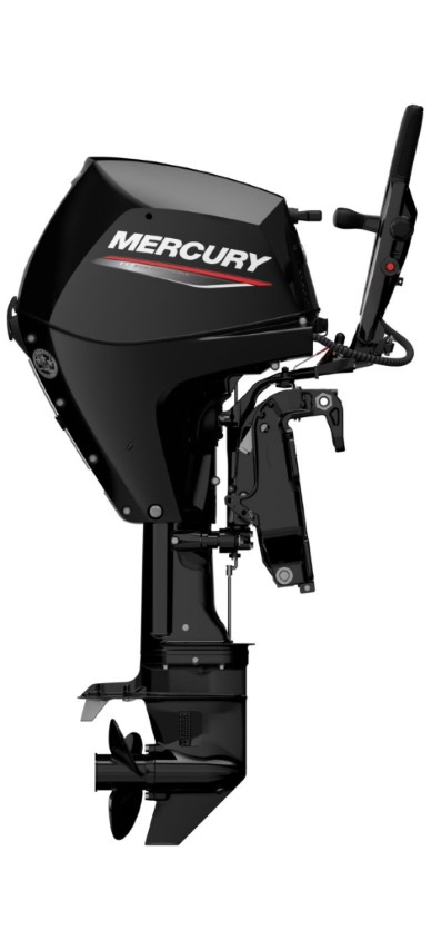 Mercury F 30 EFI