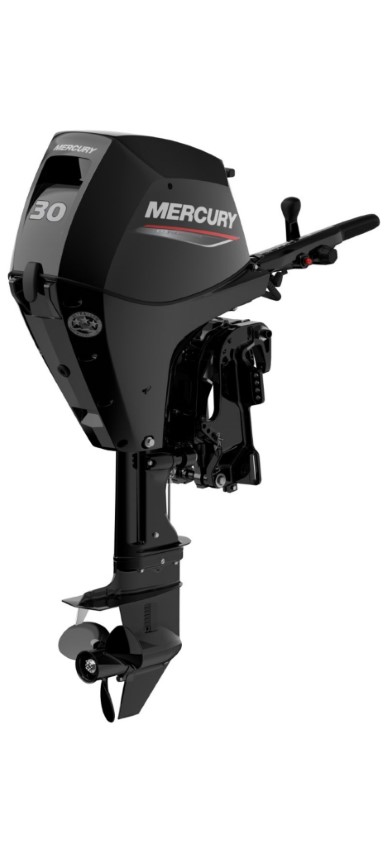 Mercury F 30 EFI