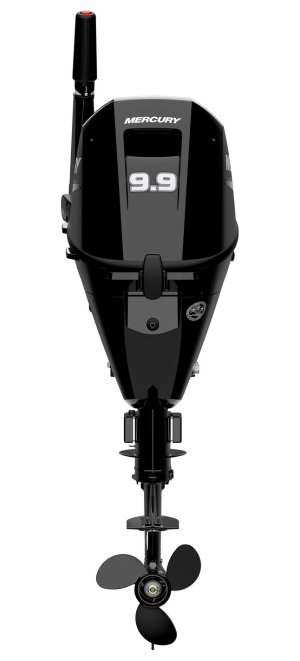 Mercury F 9,9 EFI