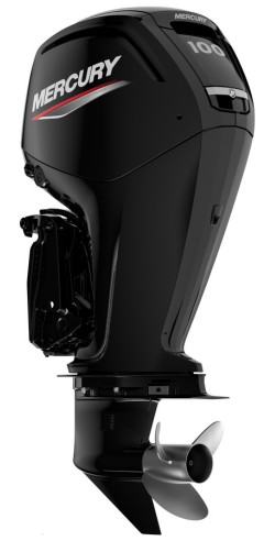 Mercury F 100 EFI