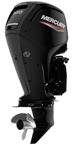 Mercury F 100 EFI