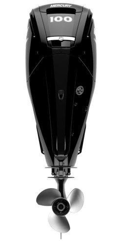 Mercury F 100 EFI