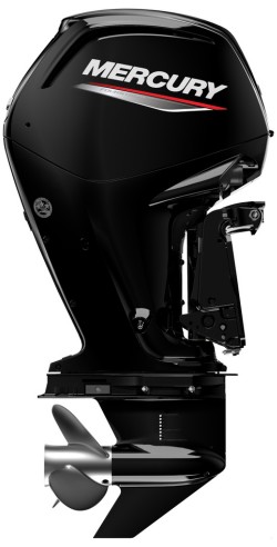 Mercury F 100 EFI