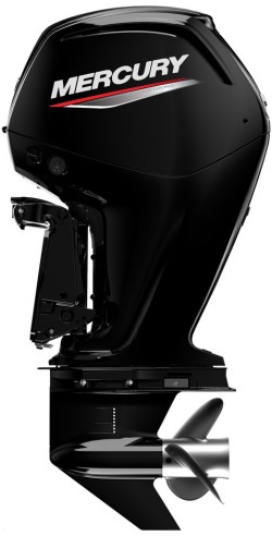 Mercury F 100 EFI
