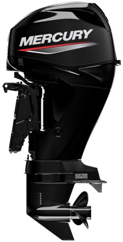 Mercury F 40 EFI