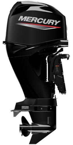 Mercury F 60 EFI
