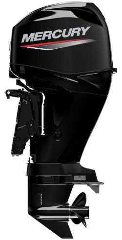 Mercury F 60 EFI